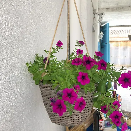 Bed & Breakfast Le Janas 3*